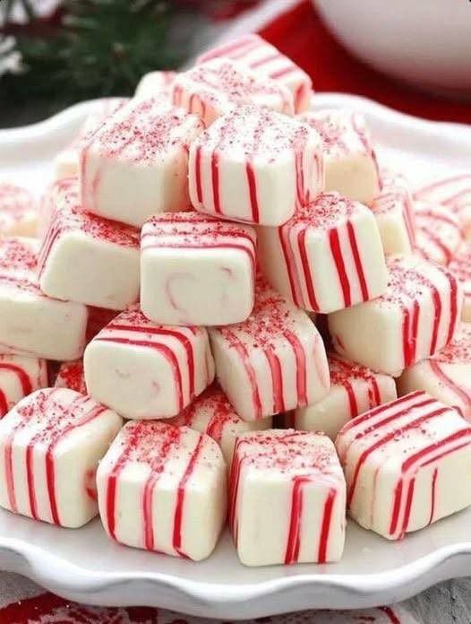 608881773 5166591056900103 319998776537717385 n