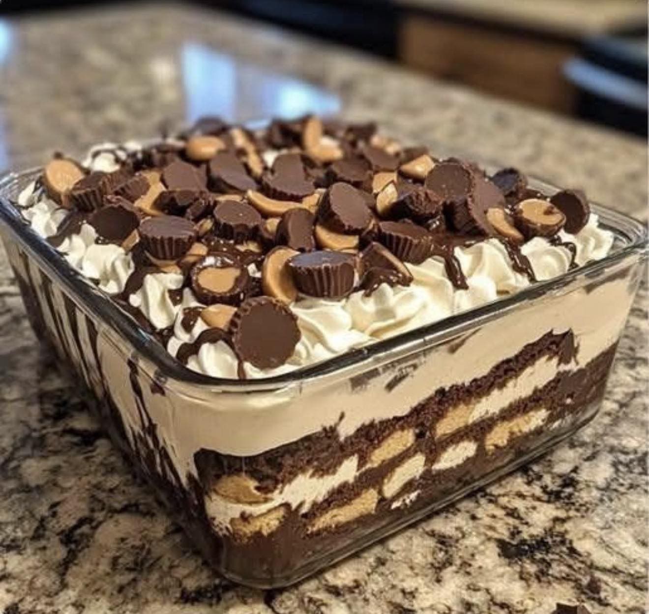 608881773 5166591056900103 319998776537717385 n