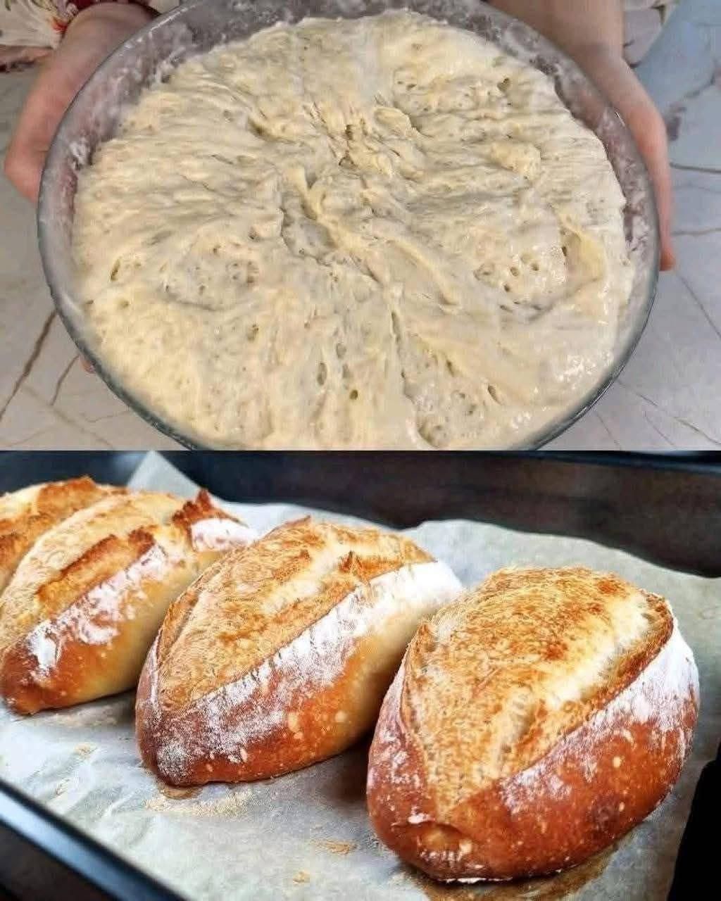 623433321 1475483857918479 2938067121730520296 n