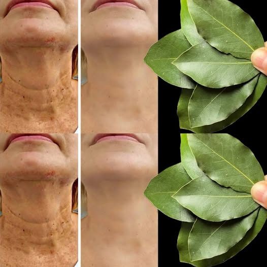 625193669 1436337251465745 523323726502208412 n