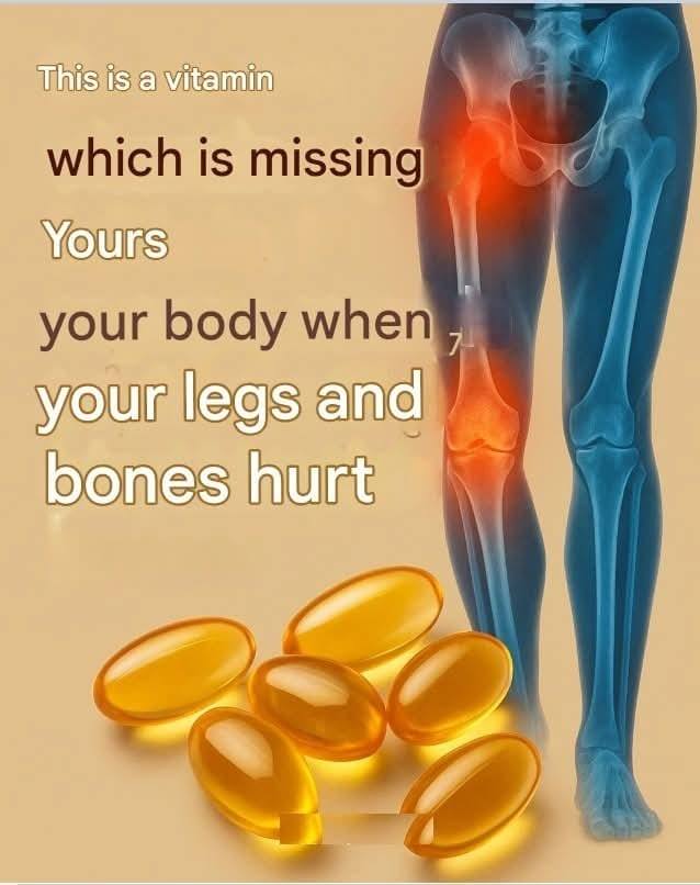 625315688 2490757767993248 7271678320889705869 n